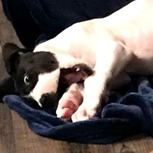 Meet your Posher, Nadia